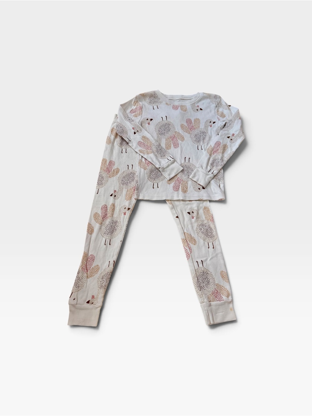 5/$25 Carter’s Turkey Pajama Set